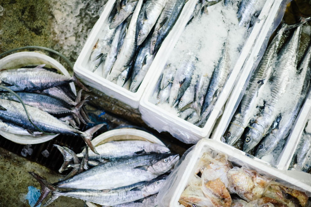 Жирные сорта рыба – полезные продукты питания для сердца